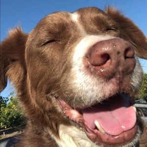 Meet your Posher, Doris